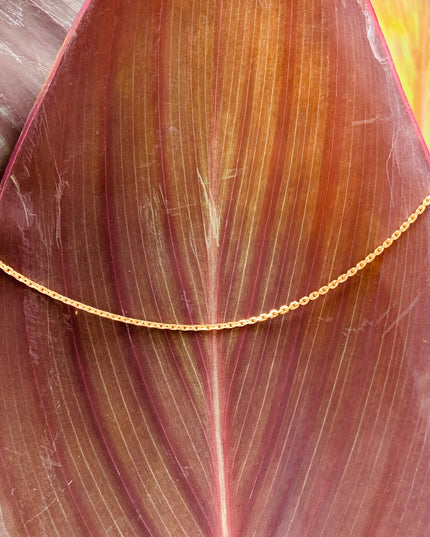 Ankerkette DELICATE Filigran Vergoldet-4